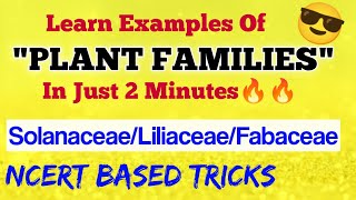 Learn PLANT FAMILIES In 2 Minutes😎 Solanaceae Liliaceae Fabaceae  Ncert Based Tricks  Neet 2021 [upl. by Happ]