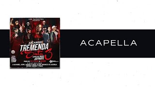 Arcángel J Alvarez Jory Boy Alexis amp Fido DOZi amp Más  Tremenda Sata 3 Remix Acapella [upl. by Cathrin]