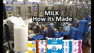 The Process of Milk Production  Belgaum News  08062018 [upl. by Gae]