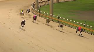 Rockhampton06112024Race11 [upl. by Enileqcaj]