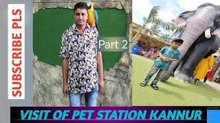 Pet Station in Mattul Kannur 2  best pets collection in Kerala  visit place in Kannur petsvlog [upl. by Suravart]