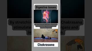 Improve Digestion with Chakrasana 🌿 Chakrasana DigestionHealth [upl. by Aray]