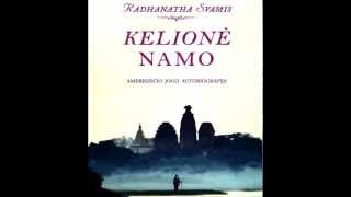 Radhanatha Svamis Kelionė namo 2 Dalis Audio knyga [upl. by Noli]