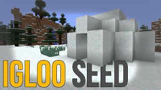 NEW IGLOO STRUCTURE  Minecraft Seed [upl. by Ainitsirhc]