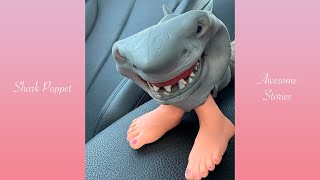 1 HOUR of Shark Puppet Shorts Compilation 40  Shark Puppet Funny Shorts 2024 [upl. by Ozne]