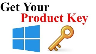 How To Get Your Product Key For Windows 78110 free Hindi  Urdu [upl. by Carole765]