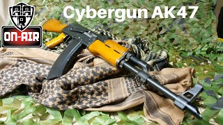 Buying an AK47 in the USA [upl. by Diana]