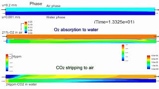 Gas absorption and desorption between airwater twophase flow [upl. by Griff709]