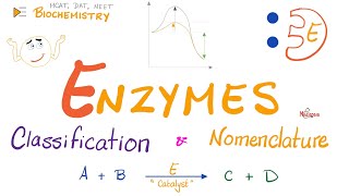 Enzymes Nomenclature and Classifications  Names and Types  Biochemistry 🧪 [upl. by Cybil]