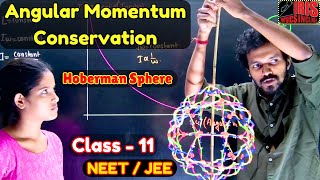 Hoberman Sphere  Angular Momentum  Rotational Motion jee neet [upl. by Neslund]