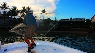 CAST NETTING WILD GOLDEN SHINERS OVER 500 IN 1 THROW [upl. by Annerb]