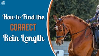 Do You Need Shorter Reins [upl. by Magner]