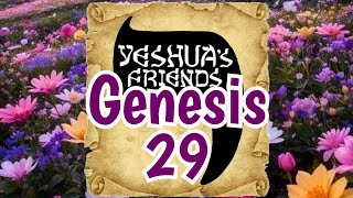 Bible Reading on Genesis 29 CJB Version [upl. by Akinat779]