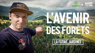 ENQUÊTE  L Avenir des Forêts a déjà 130 ans   EP 2  La futaie jardinée [upl. by Yasmine]