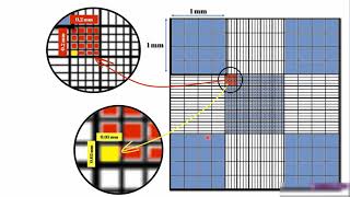 Using Hemocytometer and virtual LAbs عد الخلايا باستخدام الهيموسيتومتر و المعامل الافتراضية [upl. by Oderfla]