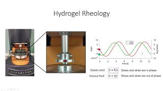 Hydrogel Characterization Lecture [upl. by Schacker31]