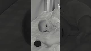 Ferret Steals Toy From Babys Crib😂 [upl. by Raymund]