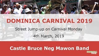 Dominica Carnival 2019 Castle Bruce Neg Mawon Band Street Jumpup on Carnival Monday [upl. by Cirtap586]