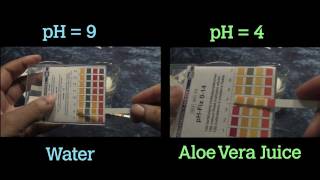 Bentonite Clay Water vs Aloe Vera Juice [upl. by Nuahsed]