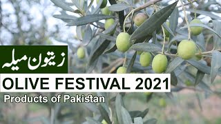 Olive Festival 2021 News  زیتون میلہ ماہ ستمبر [upl. by Arammahs341]