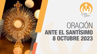 Adoración al Santísimo Domingo 8 Octubre de 2023 Padre Mariusz Maka 🙏 Ora Con Dios [upl. by Jdavie]