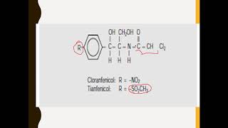 TETRACICLINAS CLORANFENICOL [upl. by Mcclish]