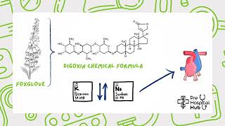 Digoxin Effect On ECGs [upl. by Ttennaej]