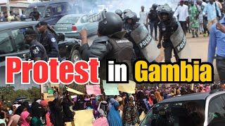 Serious Protest in The Gambia [upl. by Reifinnej]