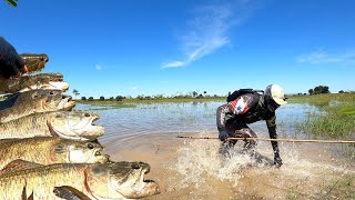 APESAR DO SUSTO A PESCARIA DE TRAIRA FOI UM SUCESSO [upl. by Eugenle]