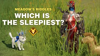 Lost Ark Meadows Riddles  Which is the Sleepiest [upl. by Nnoryt451]