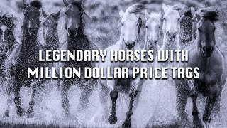 Incredible Stories of The Legendary Horses with MillionDollar Price Tags [upl. by Elva290]