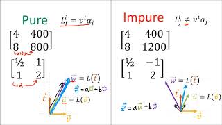 Tensors for Beginners 11 Linear maps are VectorCovector Pairs [upl. by Junie]