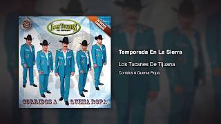 Temporada En La Sierra  Los Tucanes De Tijuana Audio Oficial [upl. by Setsero749]