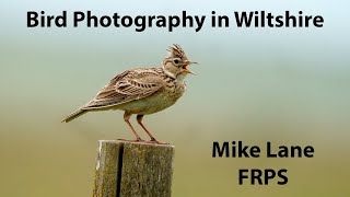 Bird photography in Wiltshire [upl. by Nitreb458]