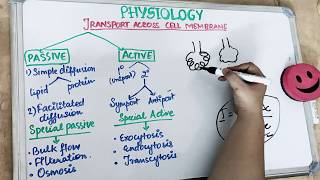 transport across cell membrane physiology  part 1 [upl. by Washburn997]