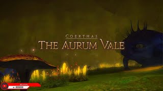 FFXIVLv 47The Aurum Vale  霧中行軍 オーラムヴェイル 有中文解說 [upl. by Ahcsatan504]