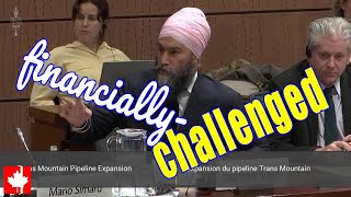 Financiallychallenged Jagmeet Singh gets SCHOOLED while bashing corporate greed [upl. by Ateiluj]