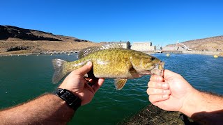 Fall smallmouth bass fishing Got a slab on a trout rod [upl. by Garfinkel693]