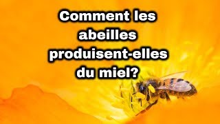 Comment les abeilles fabriquent le miel [upl. by Eduard]