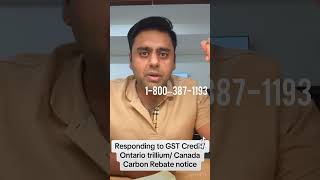 Responding To CRA notice for World Income  GST credit and other benefits in Canada [upl. by Skardol977]