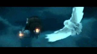 Hedwigs Death Scene in Harry Potter and the Deathly Hallows Part 1 HD [upl. by Nielsen]