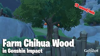 Where to find Cuihua Wood Best Farm Route in Genshin Impact [upl. by Anned816]