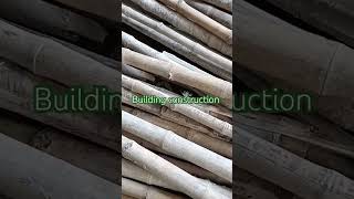 Bamboo construction  building [upl. by Nnyllaf]