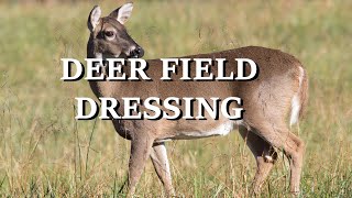 Deer Field Dressing under 5min Quick and Easy WARNING GRAPHIC CONTENT [upl. by Hauge]