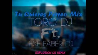 Tu Quieres Perrel Mix  Exe Faber Dj Ft Toro Dj [upl. by Gnanmos63]