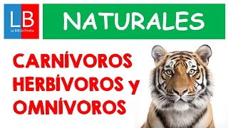 Animales CARNÍVOROS HERBÍVOROS OMNÍVOROS para niños ✔👩‍🏫 PRIMARIA [upl. by Merras]