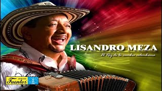 El Guayabo De La Ye  Lisandro Meza  Discos Fuentes  Audio [upl. by Osrock117]