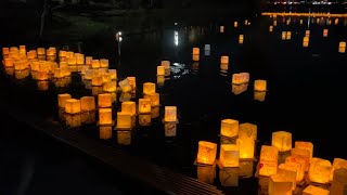 Lễ Hội Lồng Đèn Water Lantern Festival At Almaden lake in San Jose 110824111024 [upl. by Kimberley648]