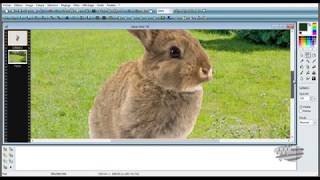 tuto photofiltre 7 incruster une image [upl. by Teplitz]