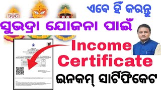 Income certificate apply for Subhadra Yojana [upl. by Eleonora]